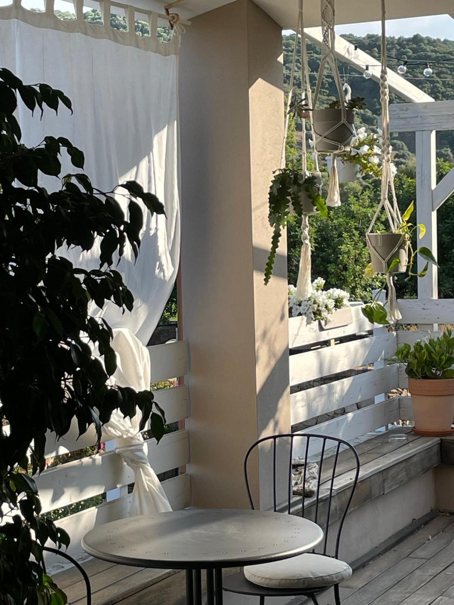 La Pecora Nera B&B Budoni Ngoại thất bức ảnh